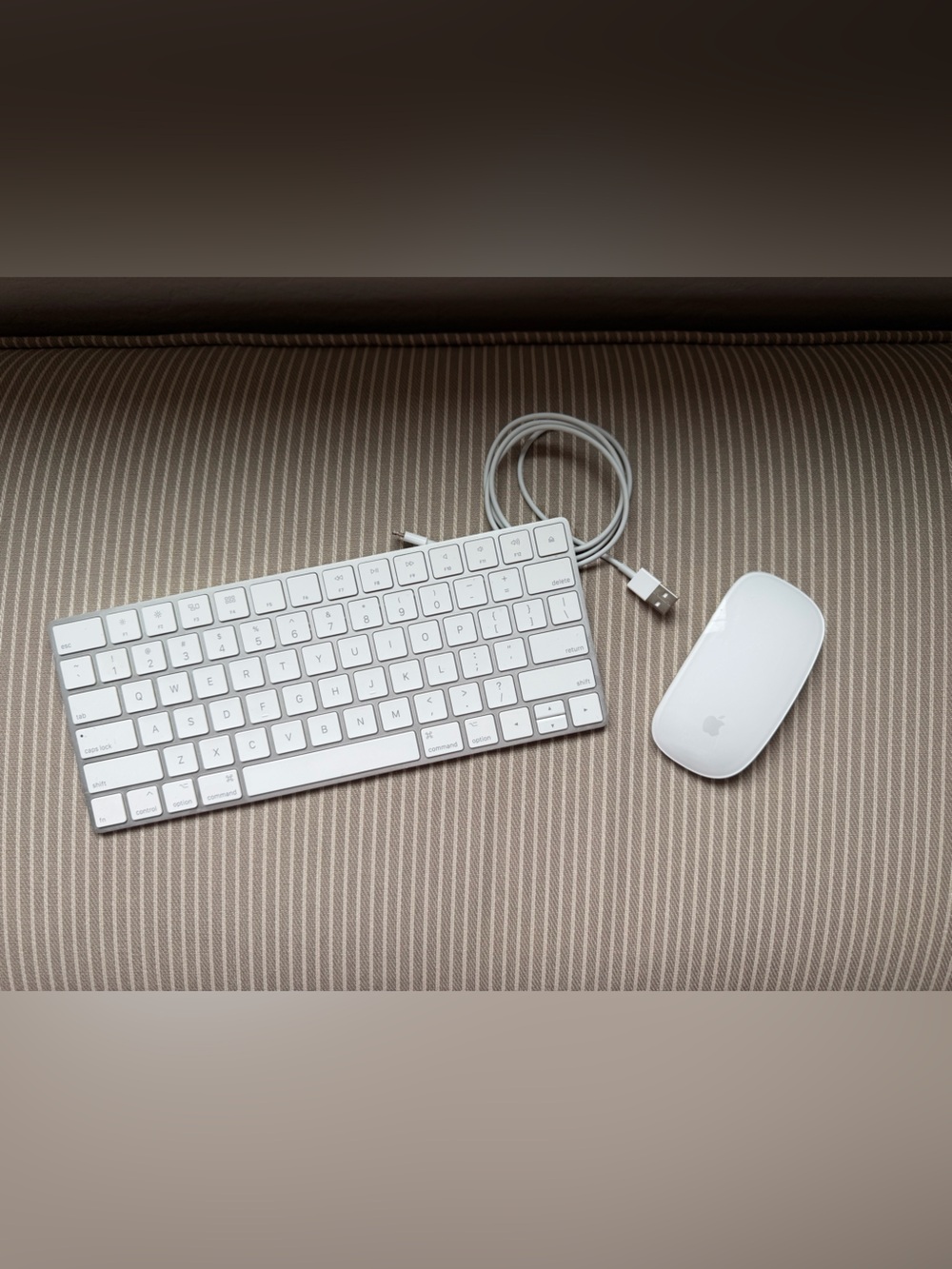 Apple White Compact Keyboard with White Magic Mouse